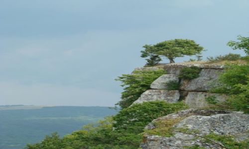 Zdjęcie UKRAINA / Półwysep Krymski / Czufut Kale / widok