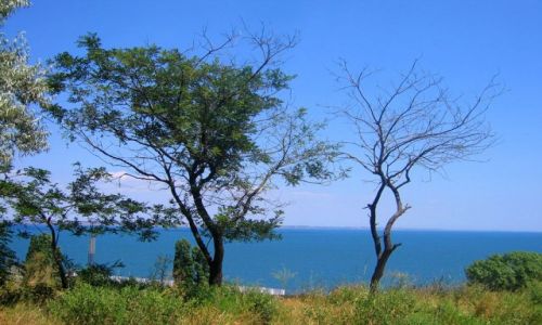 Zdjecie UKRAINA / Wybrzee Morza Czarnego  / Odessa  / Lazurowe morze