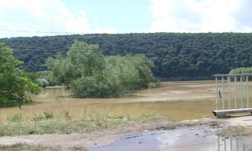 Zdjęcie UKRAINA / CZORTKÓW / OKOLICE NERKIV / POWÓDŻ