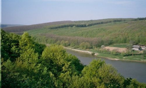 Zdjęcie UKRAINA / Łuka / nad rzeka / Rzeka Dniestr