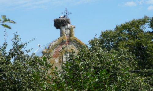 Zdjęcie UKRAINA / zakarpacie / Sol / samotny