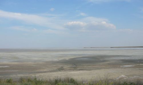 Zdjecie UKRAINA / Krym / niedaleko Pierekopu / solniska