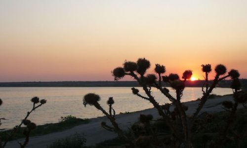 Zdjecie UKRAINA / Delta Dniepru / Ok Kamianki /  zachod slonca nad limanem Dniepry