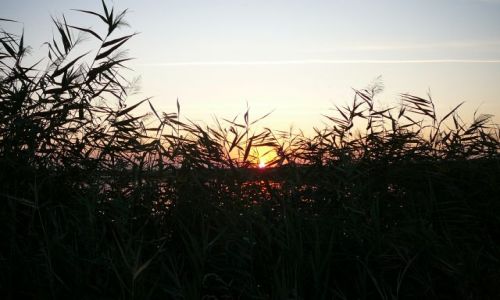 Zdjęcie UKRAINA / Mikolajewa / nad limanem / zachod slonca nad limanem