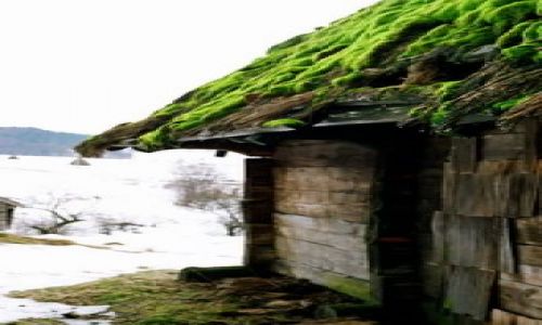 Zdjęcie UKRAINA / Karpaty / Serboviec / Chatka