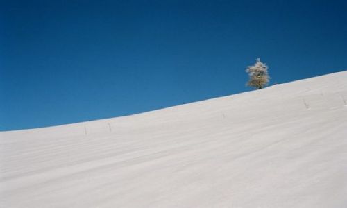 Zdjęcie UKRAINA / Karpaty / Pikuj / Góry