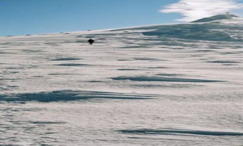 Zdjęcie UKRAINA / Karpaty / Pikuj / Góry