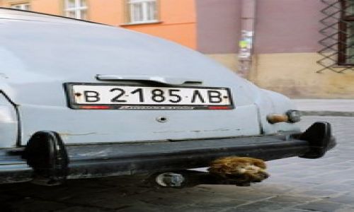 Zdjecie UKRAINA / brak / Lwów / Auto