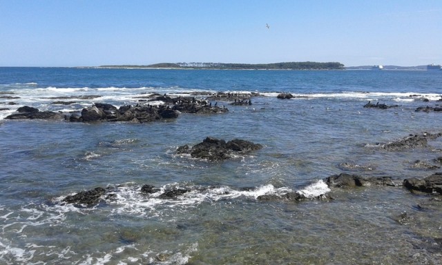 Zdj cia: Punta del Este, Maldonado, Punta del Este 4, URUGWAJ