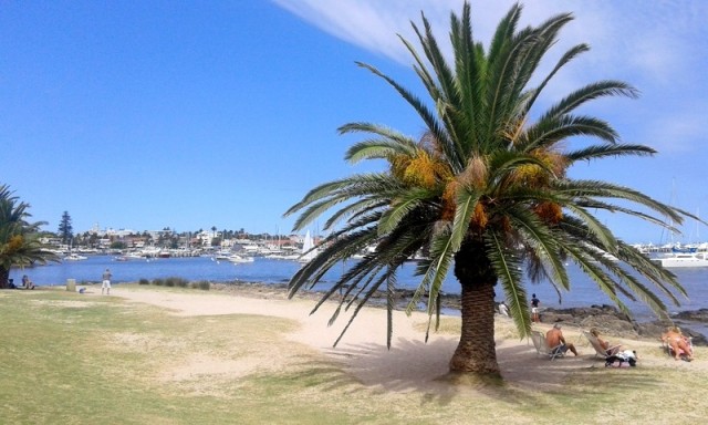 Zdj cia: Punta del Este, Maldonado, Punta del Este 5, URUGWAJ