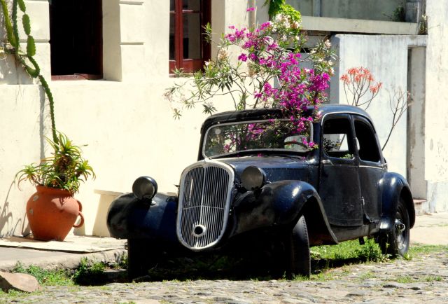 Zdjęcia: Colonia, Colonia del Sacramento, postoj ponadczasowy, URUGWAJ Zdjęcia: Colonia, Colonia del Sacramento, postoj ponadczasowy, URUGWAJ