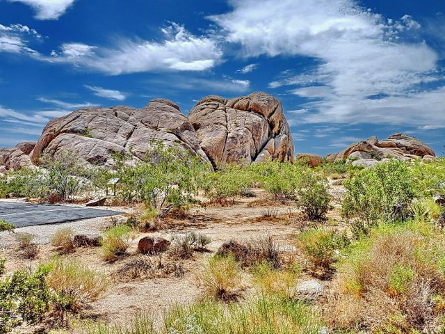 Zdjęcia: Joshua Tree NP, California, Jadąc przez Joshua Tree National Park, USA Zdjęcia: Joshua Tree NP, California, Jadąc przez Joshua Tree National Park, USA