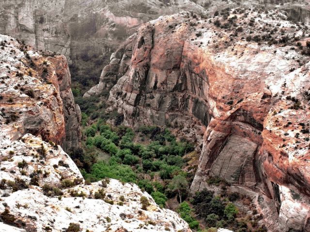 Zdjęcia: Cedar creek, Utah, Cedar Creek - oaza pośród skał, USA Zdjęcia: Cedar creek, Utah, Cedar Creek - oaza pośród skał, USA