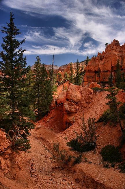 Zdjęcia: Bryce Canyon, Utah, Bryce Canyon, USA Zdjęcia: Bryce Canyon, Utah, Bryce Canyon, USA
