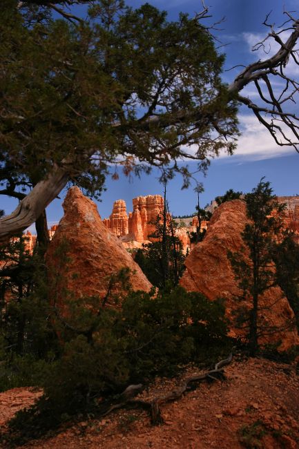 Zdjęcia: USA, Utah, Bryce Canyon, USA Zdjęcia: USA, Utah, Bryce Canyon, USA