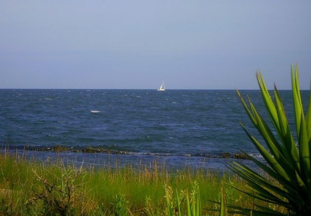 Zdjęcia: Outer Banks - Ocracoke Island, North Carolina, samotny biały żagiel, USA Zdjęcia: Outer Banks - Ocracoke Island, North Carolina, samotny biały żagiel, USA