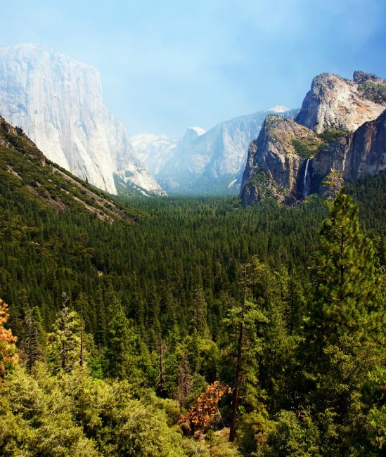 Zdjęcia: Yosemite NP, Kalifornia, Prawie jak w raju, USA Zdjęcia: Yosemite NP, Kalifornia, Prawie jak w raju, USA
