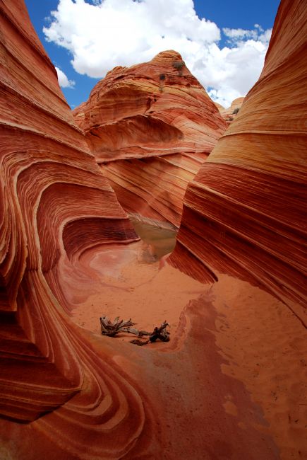 Zdjęcia: Vermilion Cliff, Arizona, the Wave, USA Zdjęcia: Vermilion Cliff, Arizona, the Wave, USA