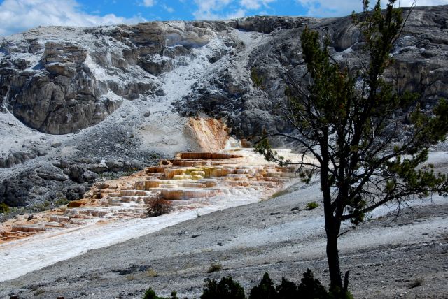 Zdjęcia: Yellowstone, Montana, Mammoth Hot Springs, USA Zdjęcia: Yellowstone, Montana, Mammoth Hot Springs, USA
