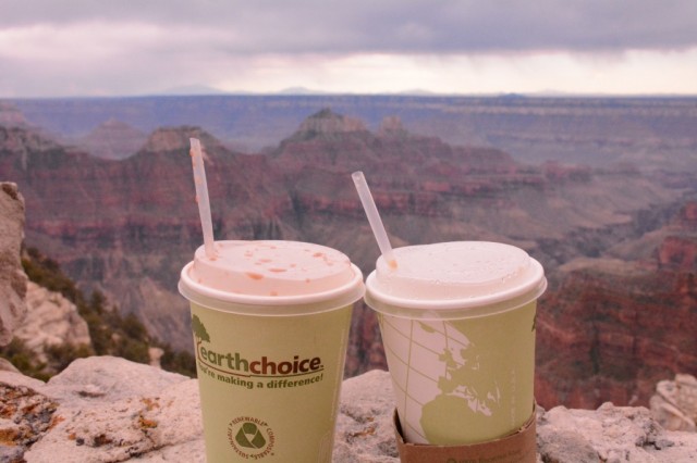 Zdj cia: North Rim Grand Canyon, Arizona, Kawa nad krawdzi, USA