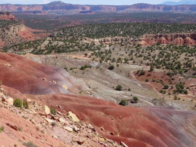 Zdj cia: Escalante, Utah, Zapraszam na BURR TRAIL ROAD 5, USA