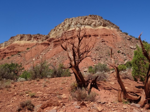 Zdj cia: Escalante, Utah, Zapraszam na BURR TRAIL ROAD 3, USA