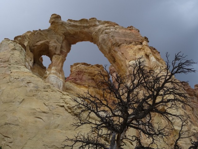Zdj cia: Utah, Cottonwood Canyon Road - Grosvenor Arch  1, USA