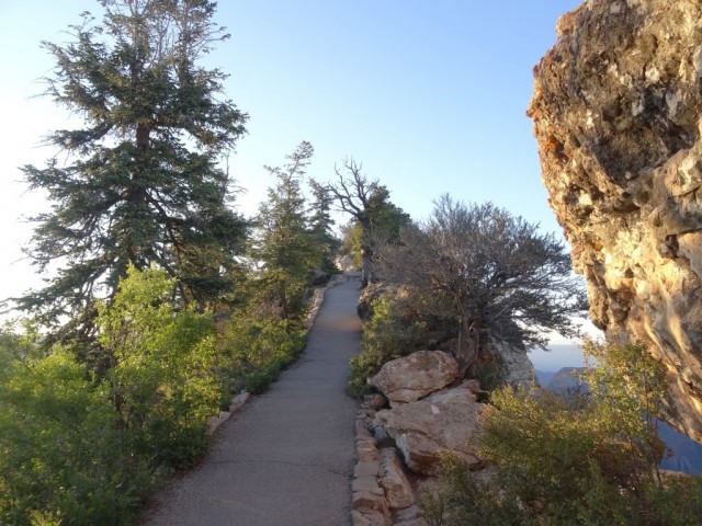 Zdj cia: Grand Canyon, Arizona, Grand Canyon - droga na Bright Angel Point, USA