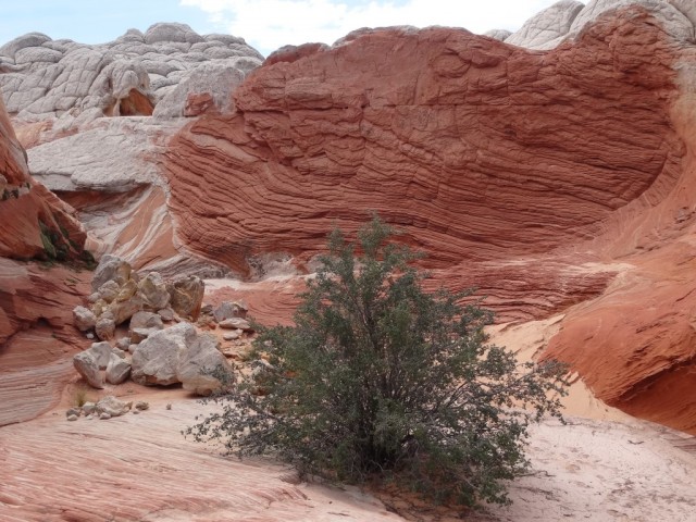 Zdj cia: Arizona, Vermilion Cliffs, Arizona, White Pocket 5, USA