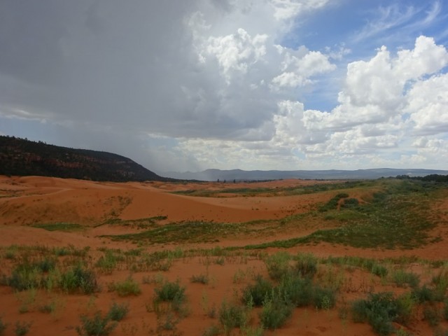 Zdj cia: Park Narodowy Koralowych Wydm, Utah, Coral Pink Sand Dunes NP - nadchodzi ulewa, USA