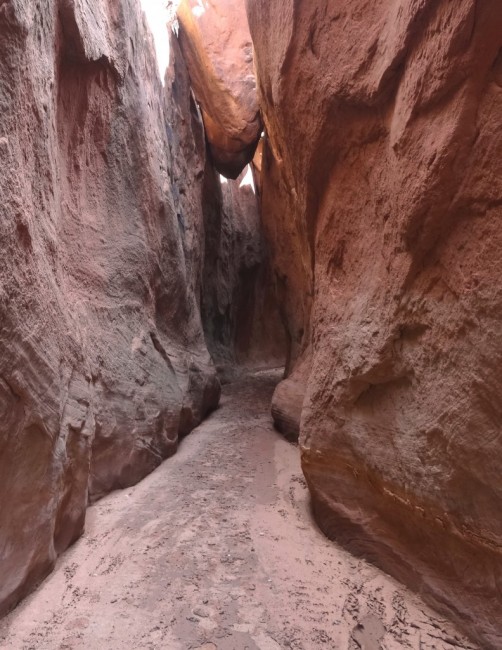 Zdj cia: Escalante, Utah, Grand Staircase Escalante - Coyote Wash, USA