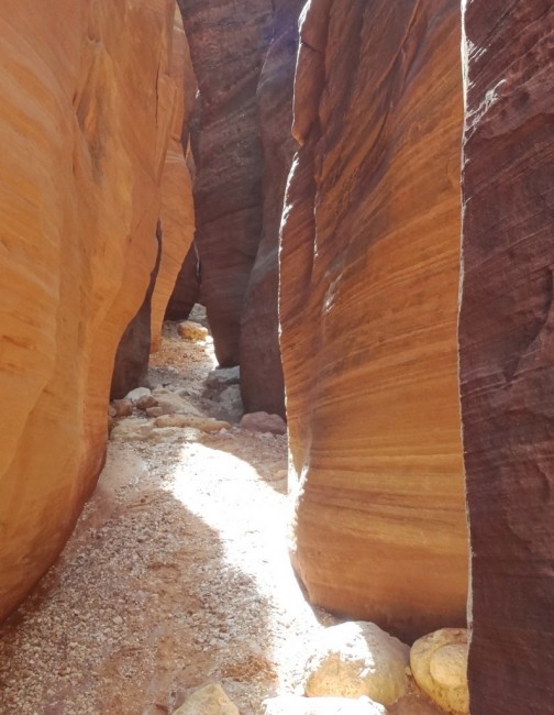 Zdj cia: Escalante, Utah, Grand Staircase Escalante -Dry Fork, USA