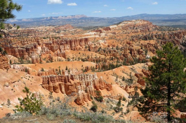 Zdj cia: Park narodowy Bryce Canyon, Utah, Kamienna armia, USA