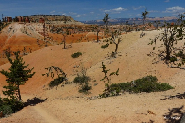 Zdj cia: Park narodowy Bryce Canyon, Utah, Oj, ciko nam - ale trwamy!, USA