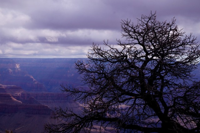 Zdj cia: Wielki Kanion , Arizona, South Rim, USA