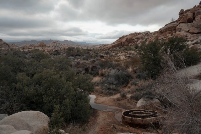 Zdj cia: Park Narodowy Drzew Jozuego, Kalifornia, Szlak Barker Dam, USA Zdj cia: Park Narodowy Drzew Jozuego, Kalifornia, Szlak Barker Dam, USA