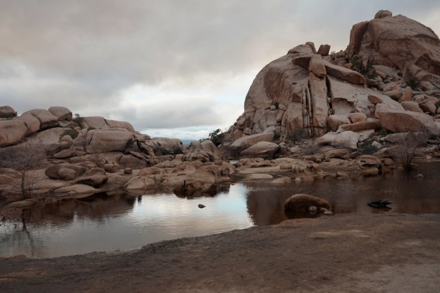 Zdj cia: Park Narodowy Drzew Jozuego, Kalifornia, Pustynne jezioro na szlaku Barker Dam, USA Zdj cia: Park Narodowy Drzew Jozuego, Kalifornia, Pustynne jezioro na szlaku Barker Dam, USA