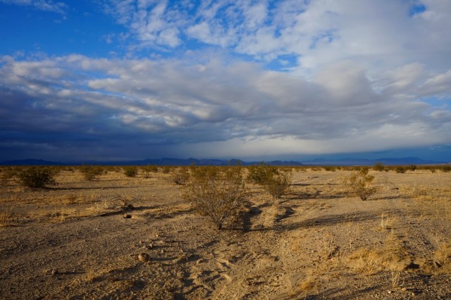 Zdj cia: Okolice Cadiz Dunes, California, Mojave Trails National Monument II, USA