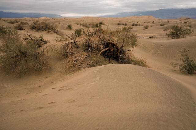 Zdj cia: Death Valley National Park, Kalifornia, Mesquite Flat Sand Dunes, USA Zdj cia: Death Valley National Park, Kalifornia, Mesquite Flat Sand Dunes, USA
