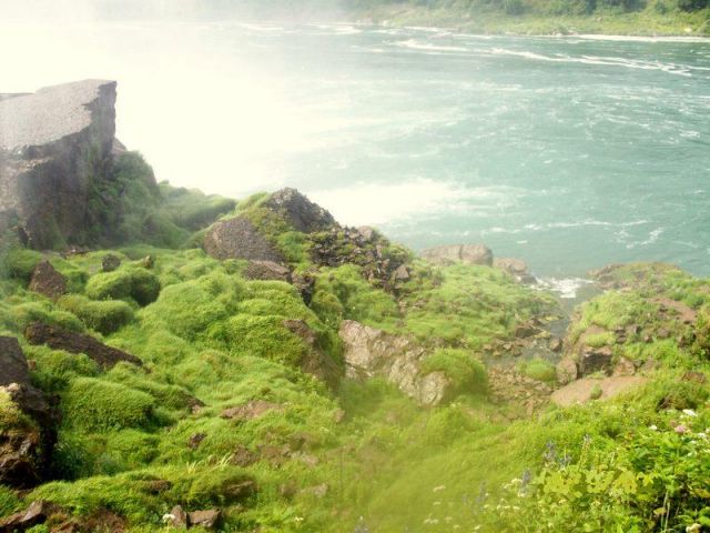 Zdjęcia: Niagara Falls, NY, Niagara, USA Zdjęcia: Niagara Falls, NY, Niagara, USA