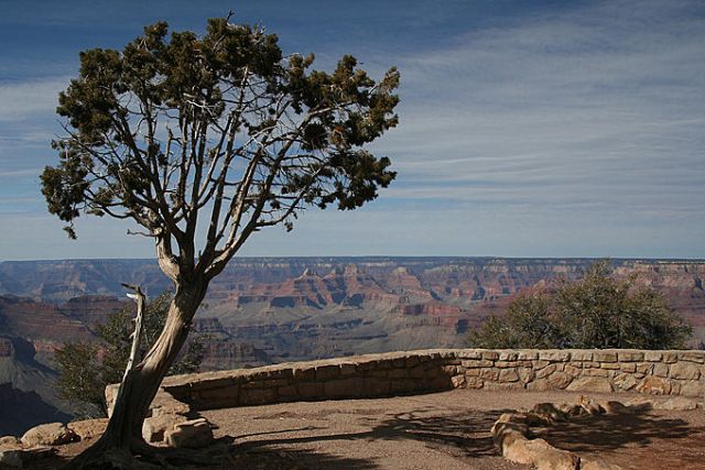 Zdjęcia: Grand Canyon National Park, Arizona, ***, USA Zdjęcia: Grand Canyon National Park, Arizona, ***, USA
