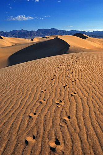 Zdjęcia: Death Valley, Kalifornia, Dolina Śmierci, USA Zdjęcia: Death Valley, Kalifornia, Dolina Śmierci, USA