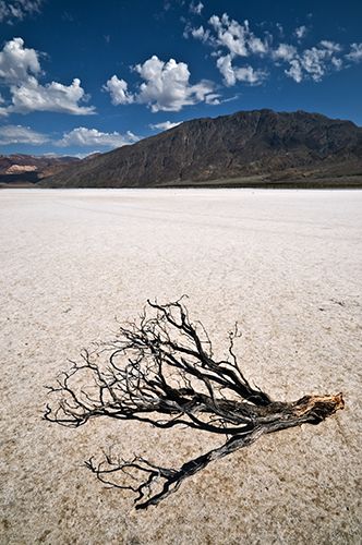 Zdjęcia: Death Valley, Kalifornia, Dolina Śmierci, USA Zdjęcia: Death Valley, Kalifornia, Dolina Śmierci, USA