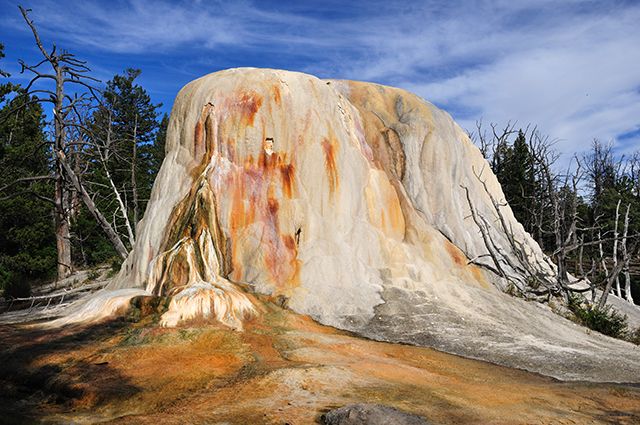 Zdjęcia: Yellowstone, Wyoming, Yellowstone, USA Zdjęcia: Yellowstone, Wyoming, Yellowstone, USA