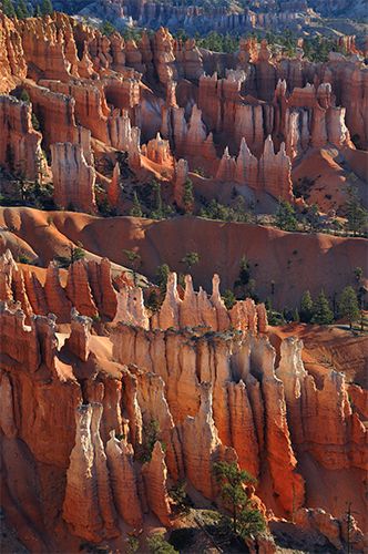Zdjęcia: Bryce Canyon, Utah, Bryce Canyon, USA Zdjęcia: Bryce Canyon, Utah, Bryce Canyon, USA