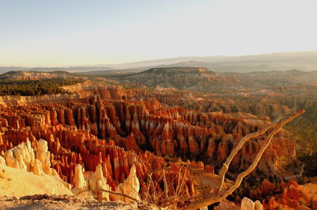 Zdjęcia: Bryce National Park / InspirationPoint, Utah, wschód słońca w Bryce, USA Zdjęcia: Bryce National Park / InspirationPoint, Utah, wschód słońca w Bryce, USA
