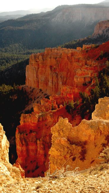 Zdjęcia: Bryce National Park / Rainbow Point, Utah, zachód słońca w Bryce, USA Zdjęcia: Bryce National Park / Rainbow Point, Utah, zachód słońca w Bryce, USA
