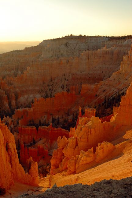 Zdjęcia: Bryce National Park / InspirationPoint, Utah, Świt wsród hodoo..., USA Zdjęcia: Bryce National Park / InspirationPoint, Utah, Świt wsród hodoo..., USA
