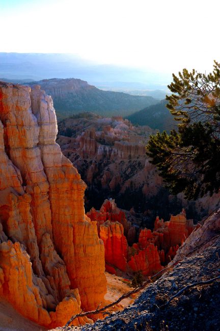 Zdjęcia: Bryce National Park / InspirationPoint, Utah, ranek w Bryce, USA Zdjęcia: Bryce National Park / InspirationPoint, Utah, ranek w Bryce, USA