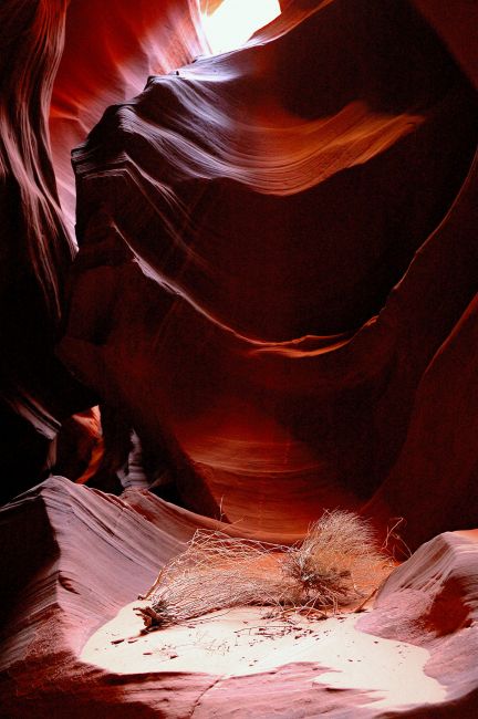 Zdjęcia: Upper Antelope Canyon, Arizona, w kanionie Antelope, USA Zdjęcia: Upper Antelope Canyon, Arizona, w kanionie Antelope, USA